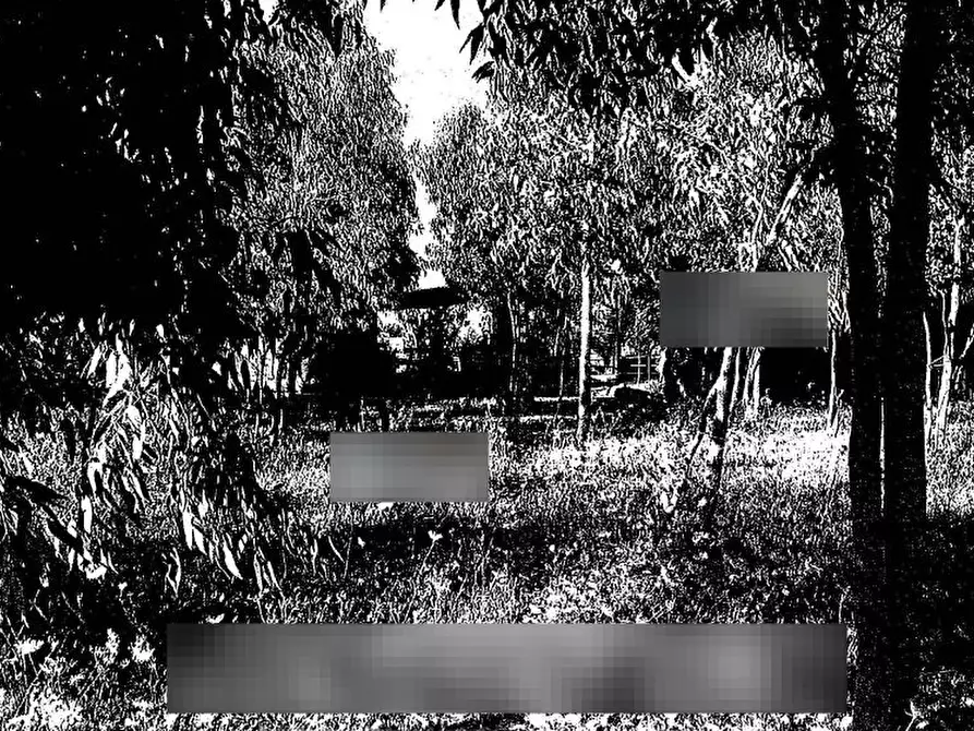 Immagine 3 di Appartamento in vendita  in Via Paganini a San Gavino Monreale