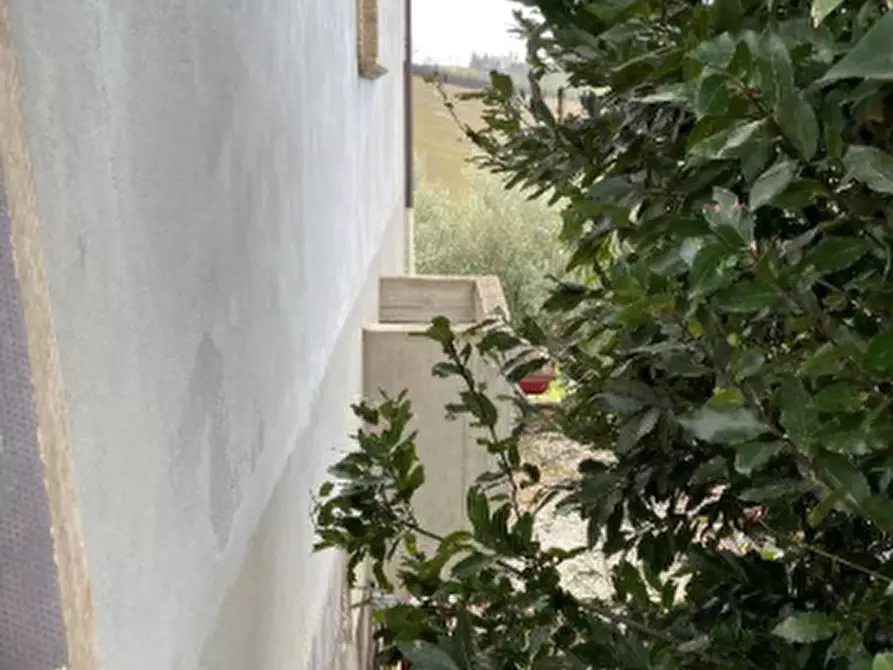 Immagine 4 di Rustico / casale in vendita  in Via Palazzo a Terre Roveresche