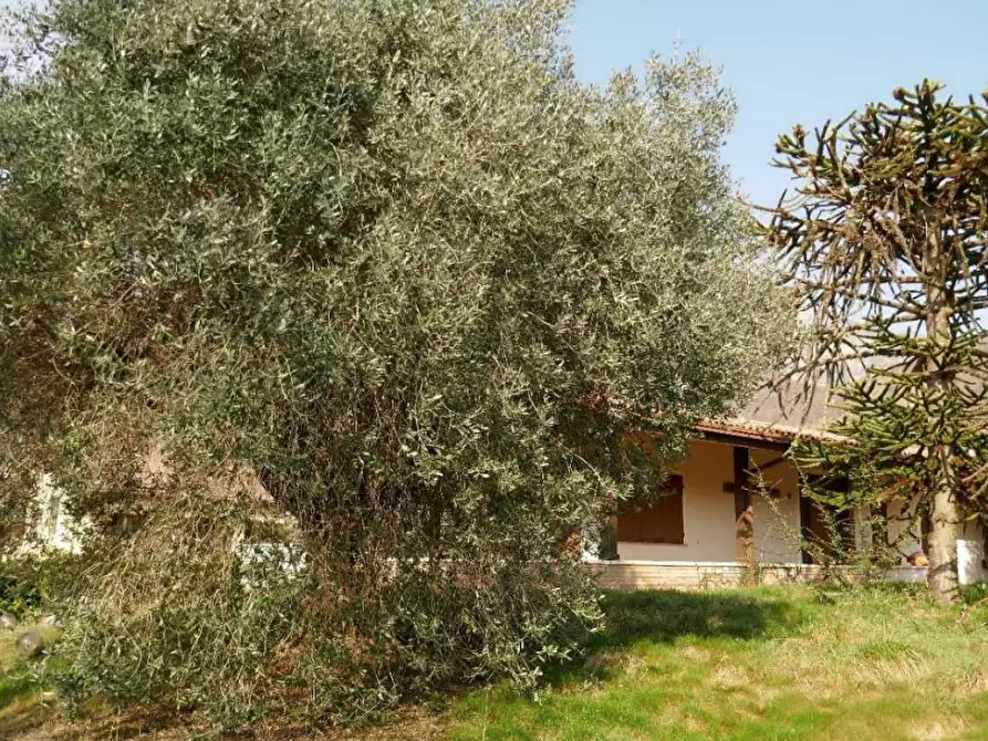 Immagine 10 di Villa in vendita  in Via Giuseppe Mazzini a Montereale Valcellina