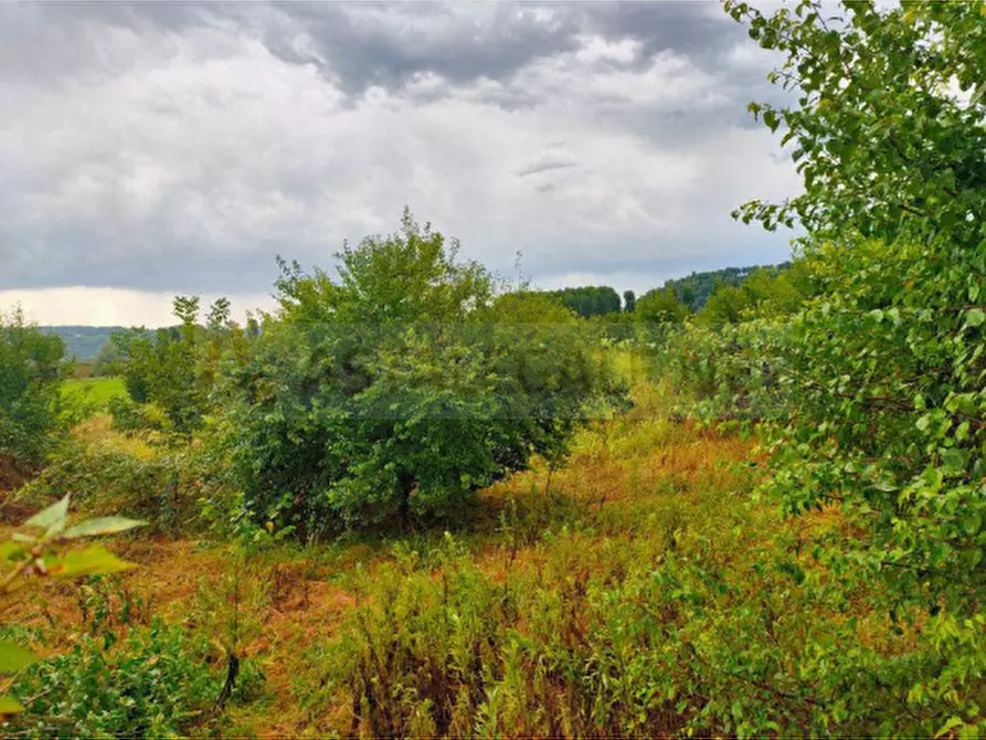 Immagine 7 di Rustico / casale in vendita  in Via Stura a Cherasco