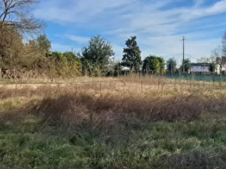 Immagine 1 di Terreno agricolo in vendita  in Via della Pieve a Borgoricco