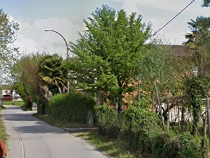 Immagine 3 di Terreno agricolo in vendita  in Via della Pieve a Borgoricco