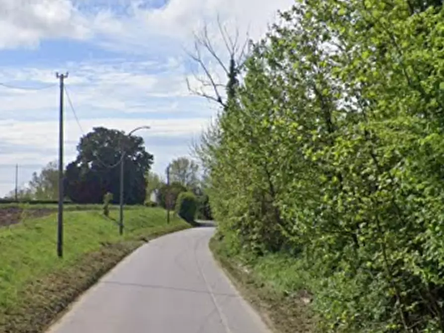 Immagine 4 di Terreno agricolo in vendita  in Via della Pieve a Borgoricco