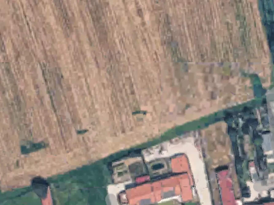 Immagine 7 di Terreno agricolo in vendita  in Via della Pieve a Borgoricco