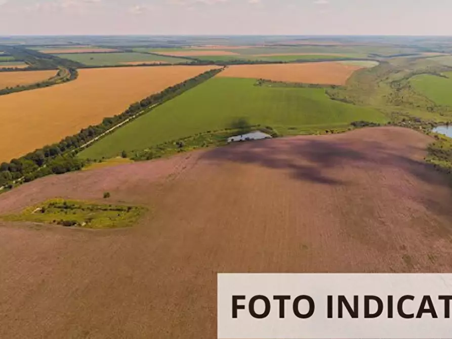 Immagine 8 di Terreno agricolo in vendita  in Via della Pieve a Borgoricco
