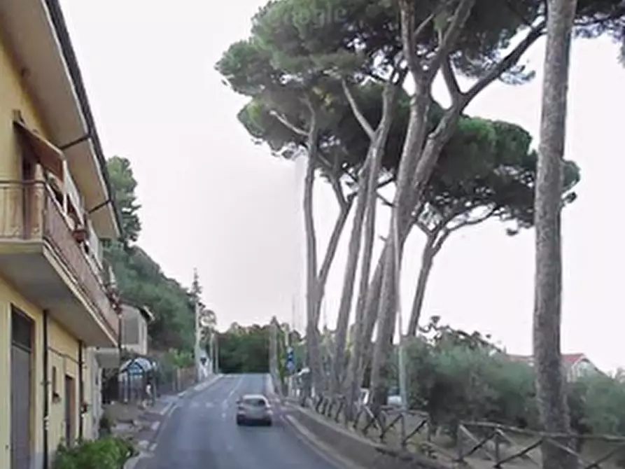 Immagine 4 di Magazzino in vendita  in Via Frascati a Colonna