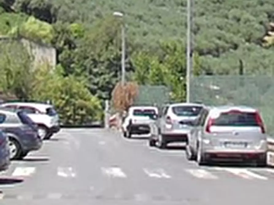 Immagine 9 di Appartamento in vendita  in Via XXV Luglio a Monte Porzio Catone