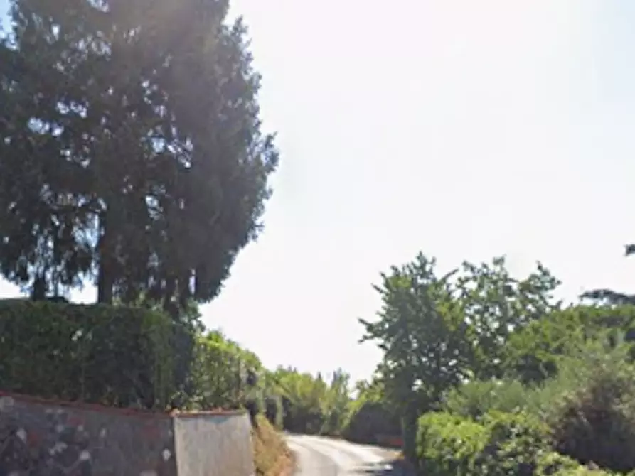 Immagine 8 di Terreno agricolo in vendita  in Via della Mortella a Velletri