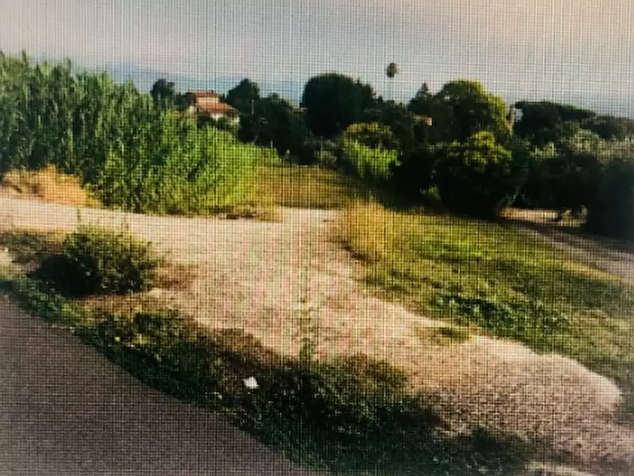 Immagine 1 di Terreno agricolo in vendita  in Via della Mortella a Velletri