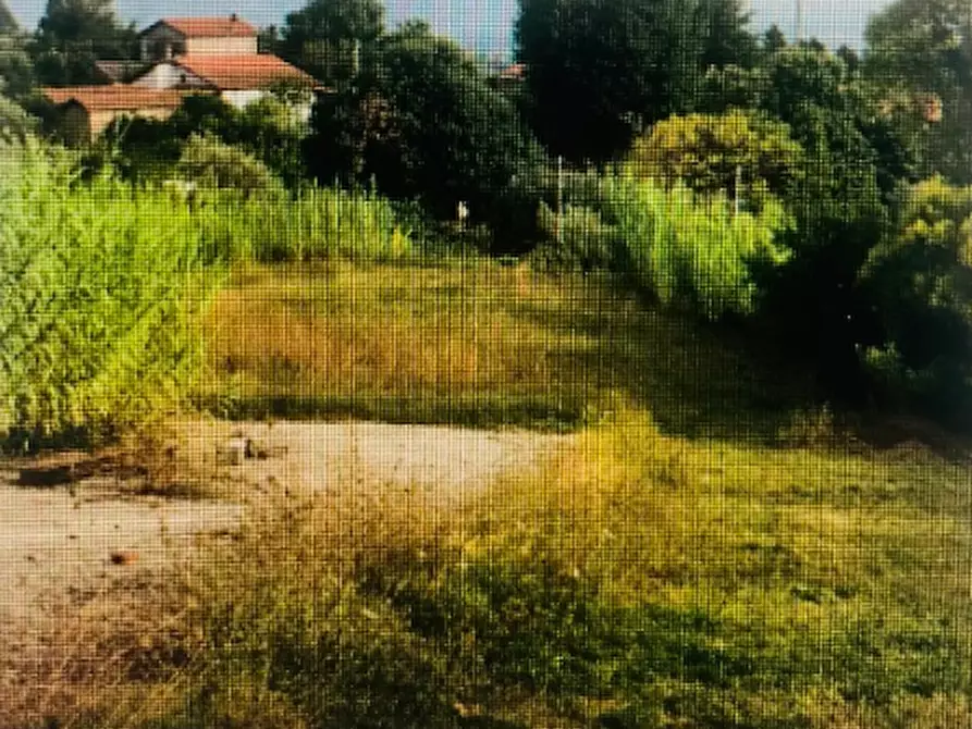 Immagine 2 di Terreno agricolo in vendita  in Via della Mortella a Velletri