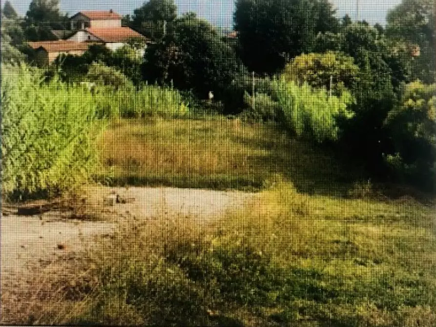 Immagine 3 di Terreno agricolo in vendita  in Via della Mortella a Velletri