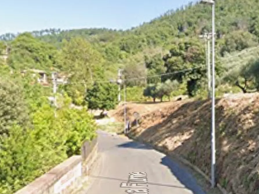 Immagine 5 di Terreno agricolo in vendita  in Via della Mortella a Velletri
