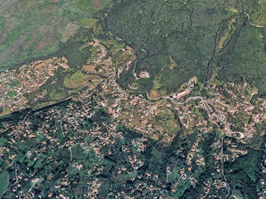 Immagine 8 di Terreno agricolo in vendita  in Via della Mortella a Velletri