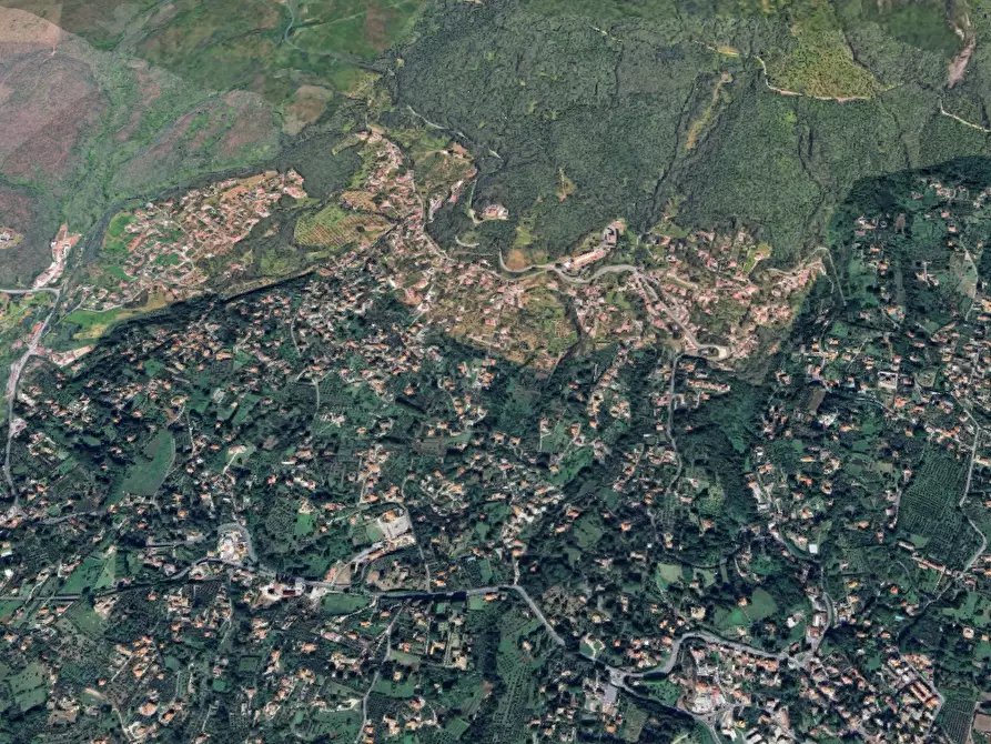 Immagine 9 di Terreno agricolo in vendita  in Via della Mortella a Velletri
