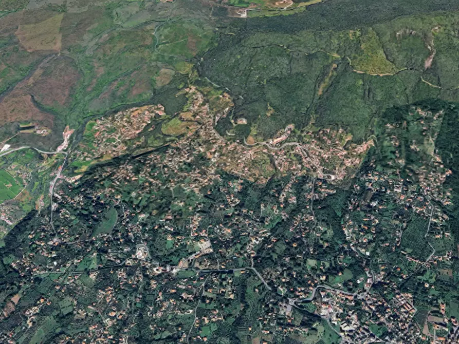 Immagine 10 di Terreno agricolo in vendita  in Via della Mortella a Velletri