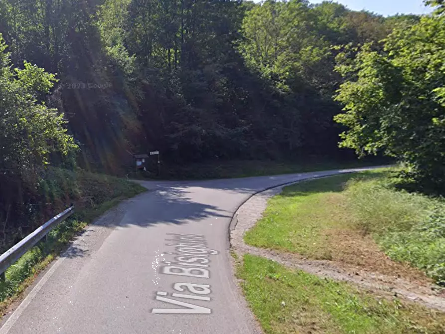 Immagine 11 di Terreno edificabile in vendita  in Via Bisighini a Valli Del Pasubio