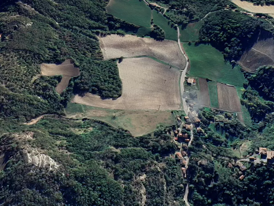 Immagine 5 di Terreno agricolo in vendita  in Via Anconella a Loiano