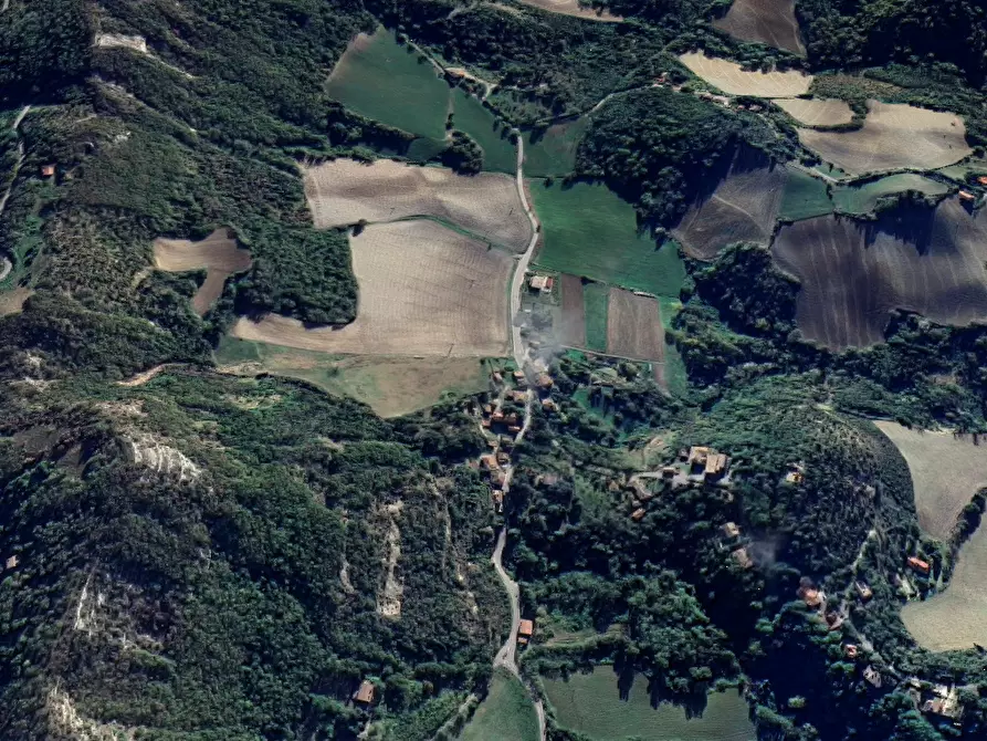 Immagine 6 di Terreno agricolo in vendita  in Via Anconella a Loiano