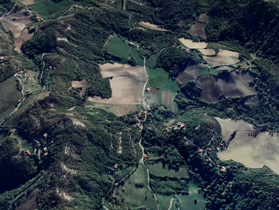 Immagine 7 di Terreno agricolo in vendita  in Via Anconella a Loiano