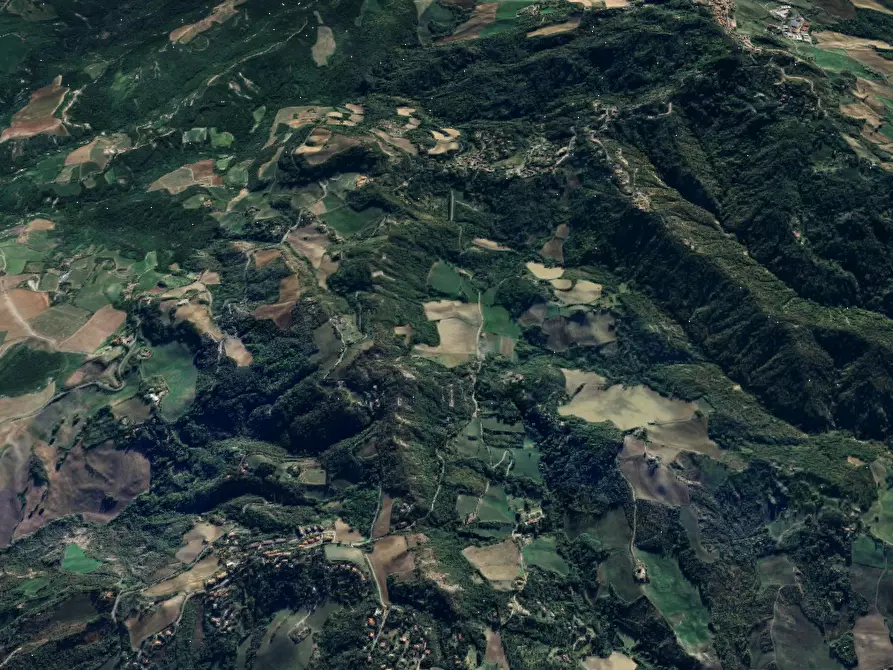 Immagine 10 di Terreno agricolo in vendita  in Via Anconella a Loiano