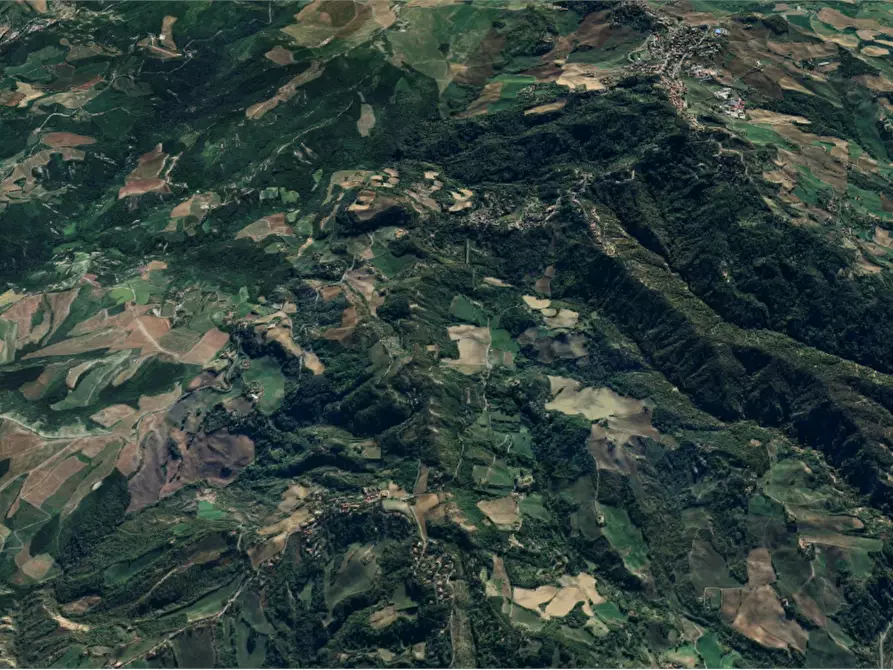 Immagine 11 di Terreno agricolo in vendita  in Via Anconella a Loiano