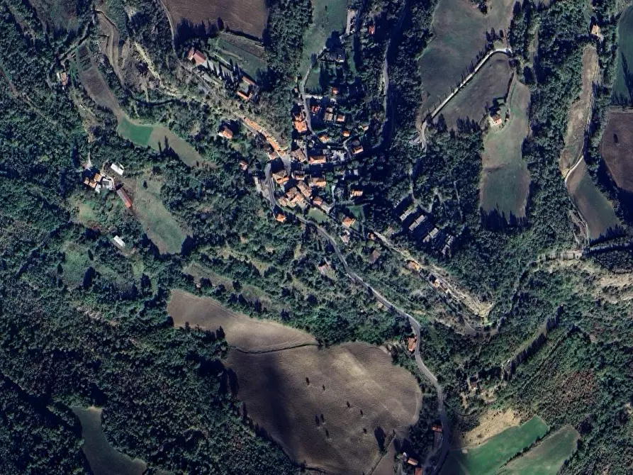 Immagine 3 di Terreno agricolo in vendita  in Località Livergnano a Loiano