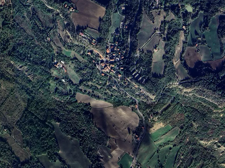 Immagine 4 di Terreno agricolo in vendita  in Località Livergnano a Loiano