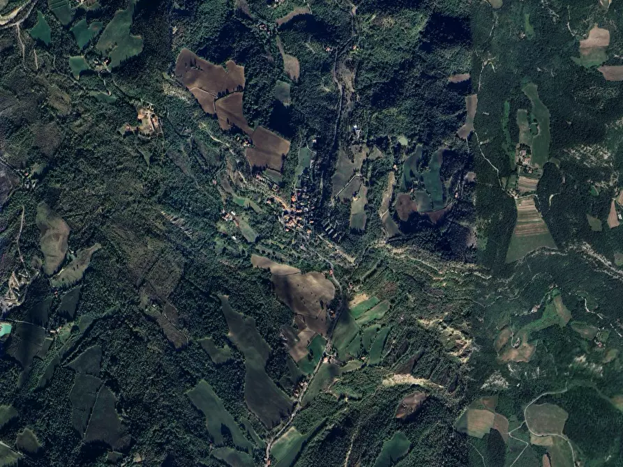 Immagine 6 di Terreno agricolo in vendita  in Località Livergnano a Loiano