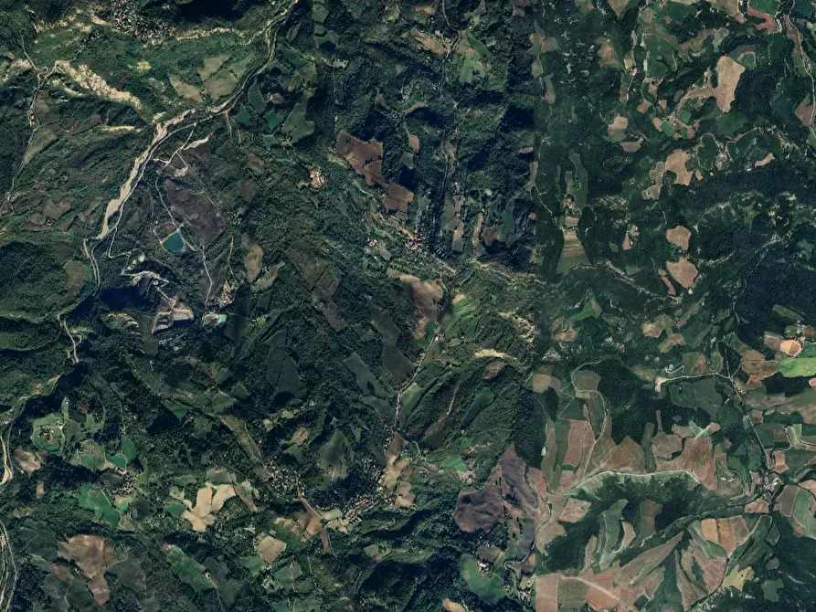 Immagine 8 di Terreno agricolo in vendita  in Località Livergnano a Loiano