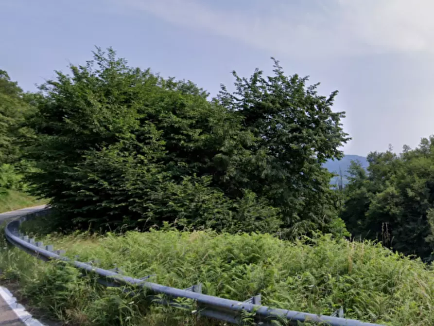 Immagine 2 di Terreno agricolo in vendita  in via Panoramica a Loiano