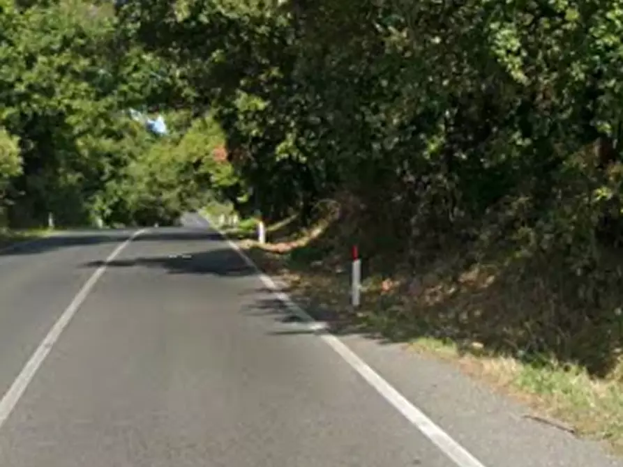 Immagine 11 di Negozio in vendita  in Via Flaminia a Riano
