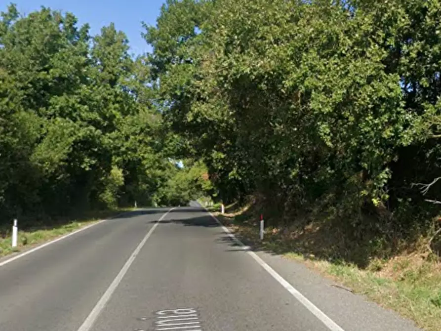 Immagine 10 di Negozio in vendita  in Via Flaminia a Riano