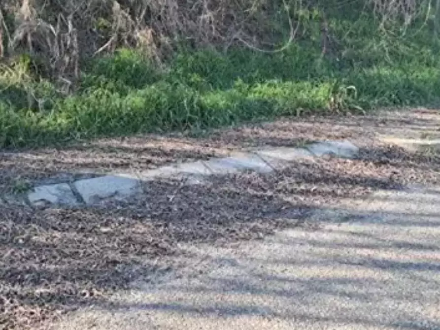 Immagine 3 di Terreno edificabile in vendita  in Via Macello a Casola Valsenio