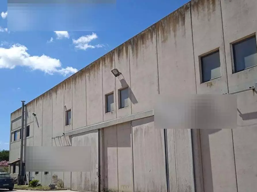 Immagine 3 di Capannone industriale in vendita  in Località Bruncu Girau a Samatzai