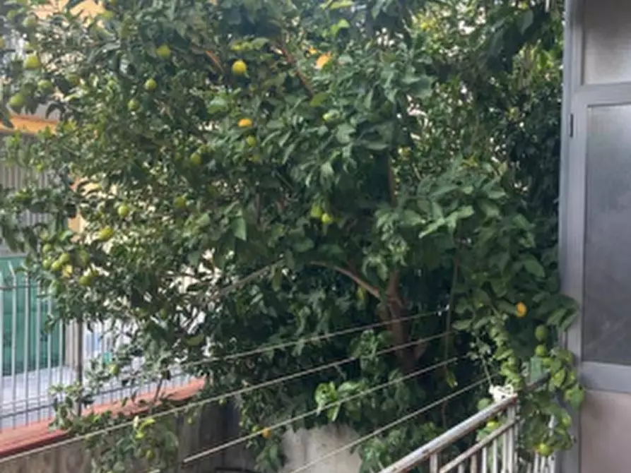 Immagine 10 di Appartamento in vendita  in Via A. Sepe a Carinaro