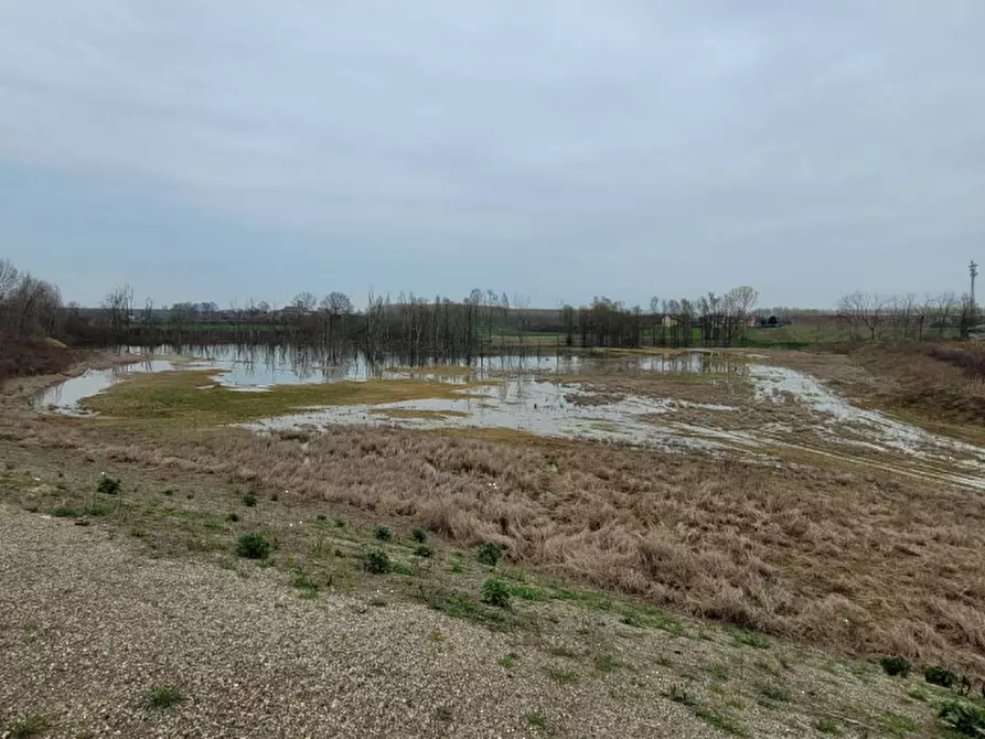 Immagine 1 di Terreno agricolo in vendita  in LOCALITA' GUETTO a Santena