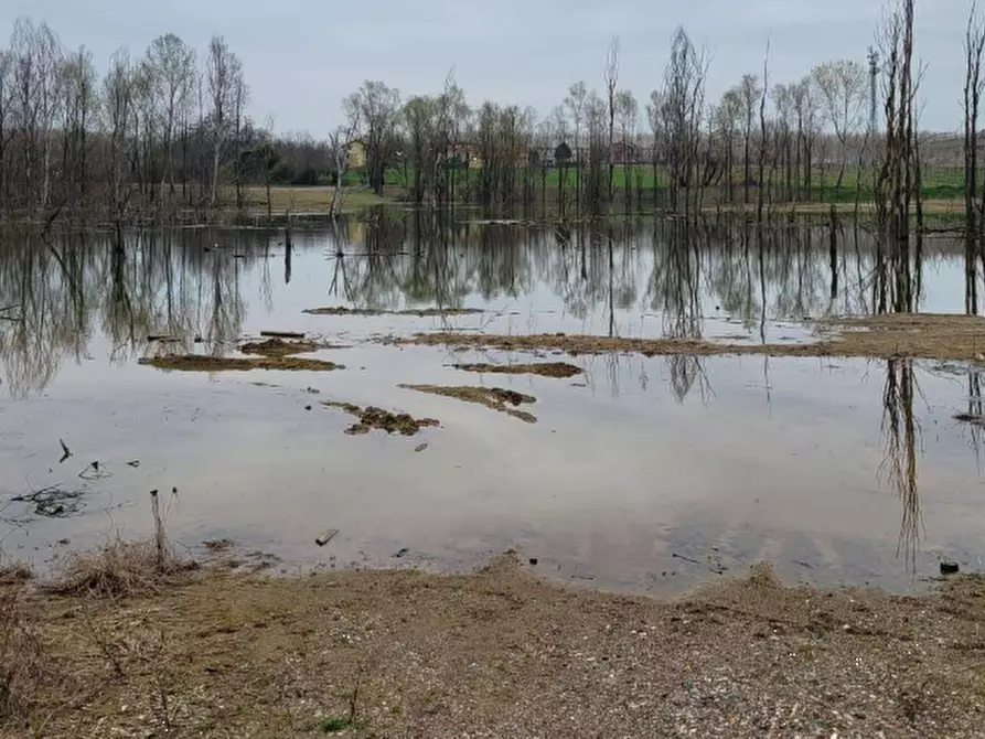 Immagine 2 di Terreno agricolo in vendita  in LOCALITA' GUETTO a Santena