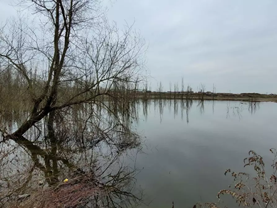 Immagine 3 di Terreno agricolo in vendita  in LOCALITA' GUETTO a Santena