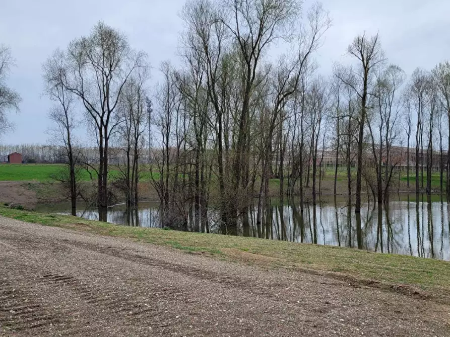 Immagine 4 di Terreno agricolo in vendita  in LOCALITA' GUETTO a Santena