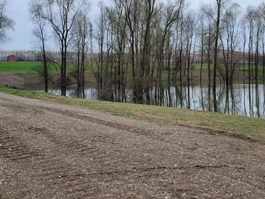 Immagine 5 di Terreno agricolo in vendita  in LOCALITA' GUETTO a Santena