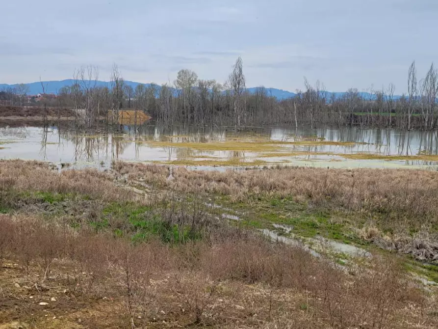 Immagine 6 di Terreno agricolo in vendita  in LOCALITA' GUETTO a Santena