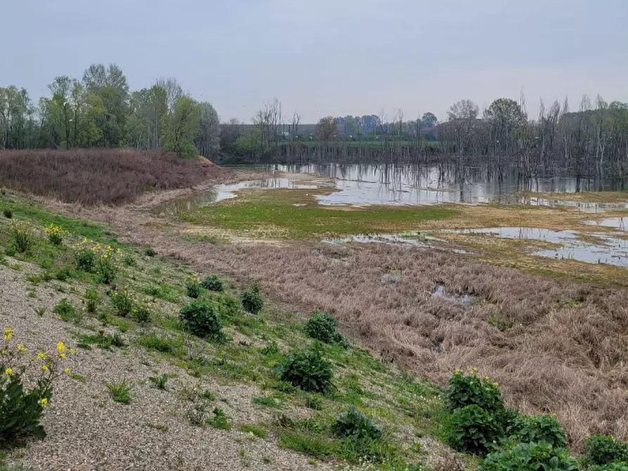 Immagine 7 di Terreno agricolo in vendita  in LOCALITA' GUETTO a Santena