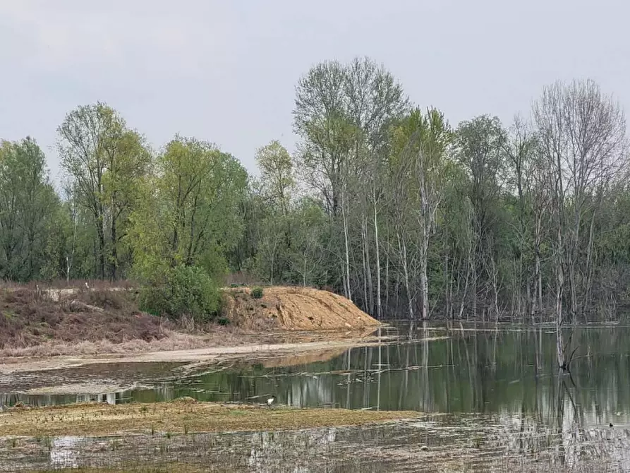 Immagine 8 di Terreno agricolo in vendita  in LOCALITA' GUETTO a Santena