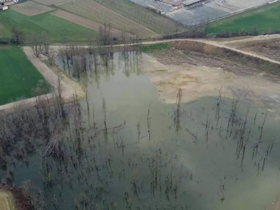 Immagine 11 di Terreno agricolo in vendita  in LOCALITA' GUETTO a Santena