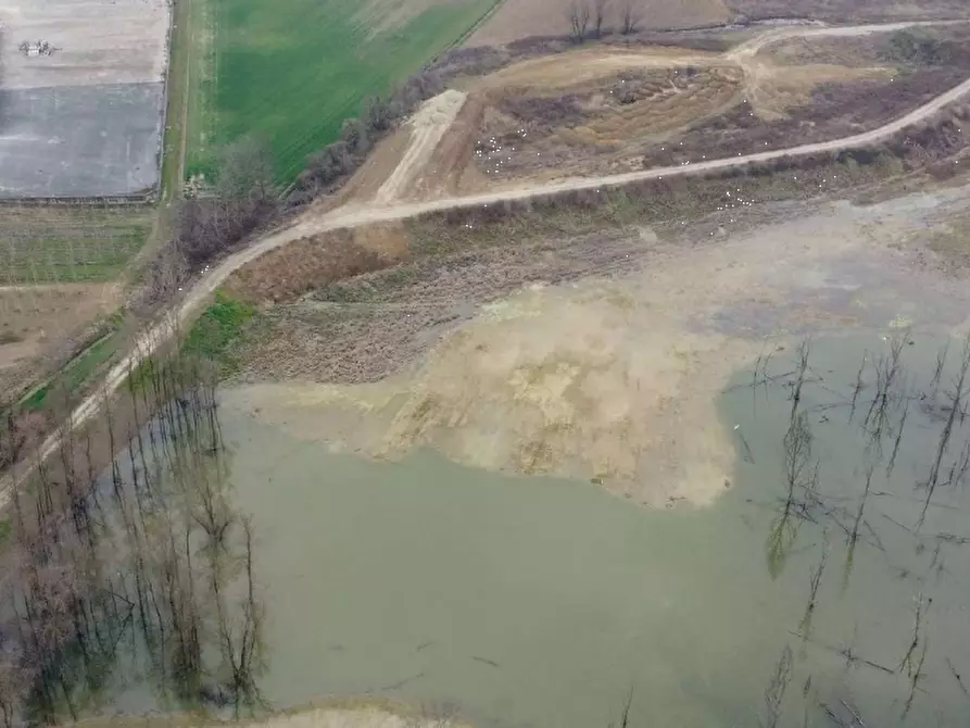 Immagine 12 di Terreno agricolo in vendita  in LOCALITA' GUETTO a Santena