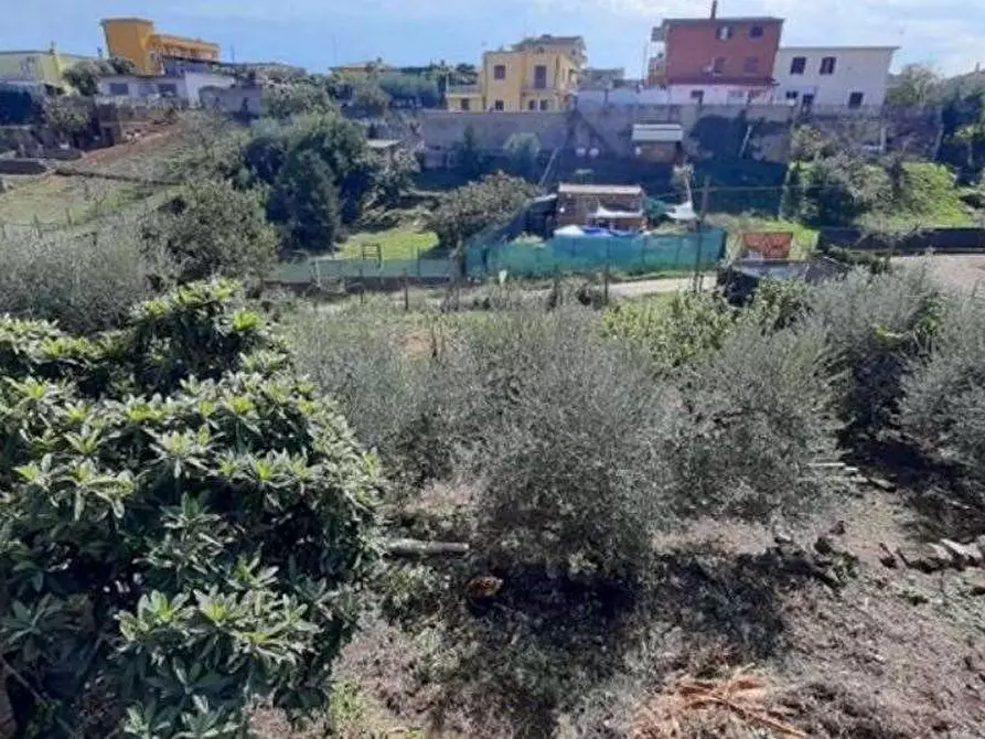Immagine 6 di Casa indipendente in vendita  in Via delle Nottue a Ardea