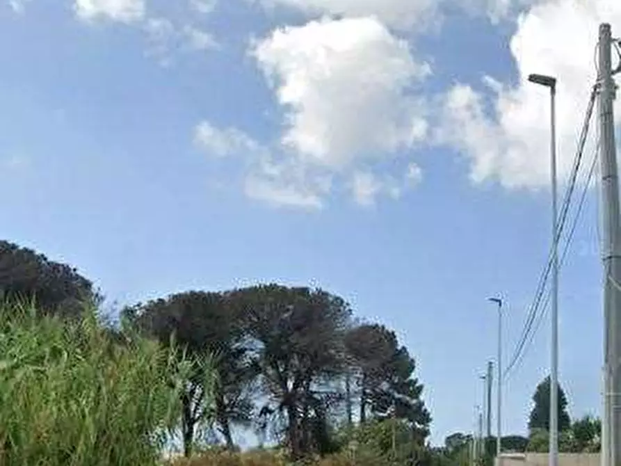 Immagine 4 di Casa bifamiliare in vendita  in Via Campoleone  a Nettuno