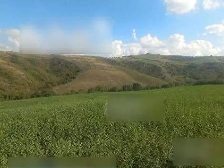 Immagine 1 di Terreno agricolo in vendita  in Via Caselle a Mondaino