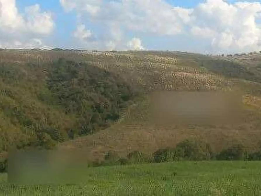 Immagine 2 di Terreno agricolo in vendita  in Via Caselle a Mondaino