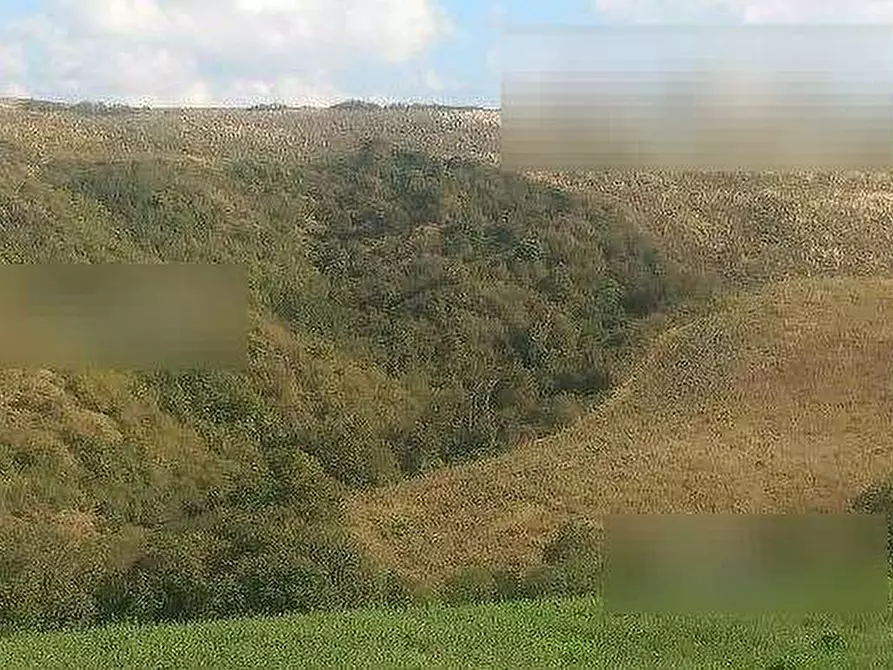 Immagine 3 di Terreno agricolo in vendita  in Via Caselle a Mondaino